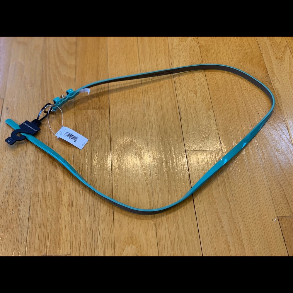 Teal Banana Republic thin belt.